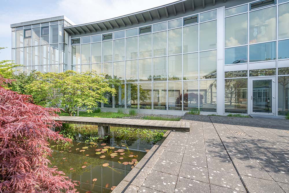 Terrasse mit Teich und Steg - Ihr Immobilienmakler KRAN IMMO in Paderborn